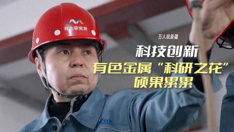 企业数字化工具使用教程